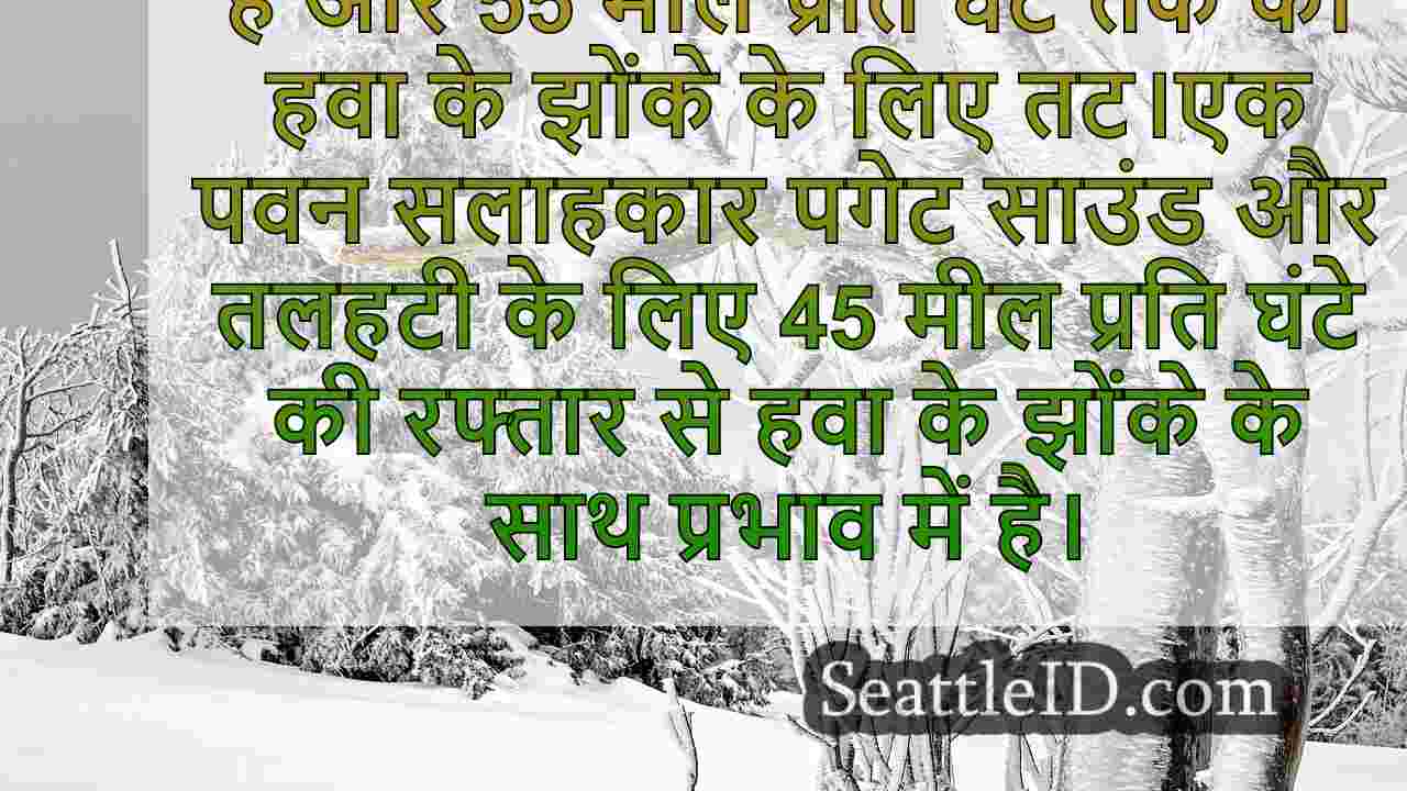 सिएटल समाचार SeattleID