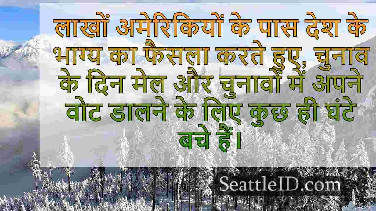 सिएटल समाचार SeattleID
