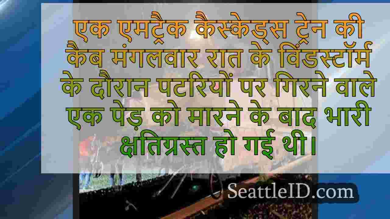 एमट्रैक कैस्केड्स ट्रेन हिट ट्री जो