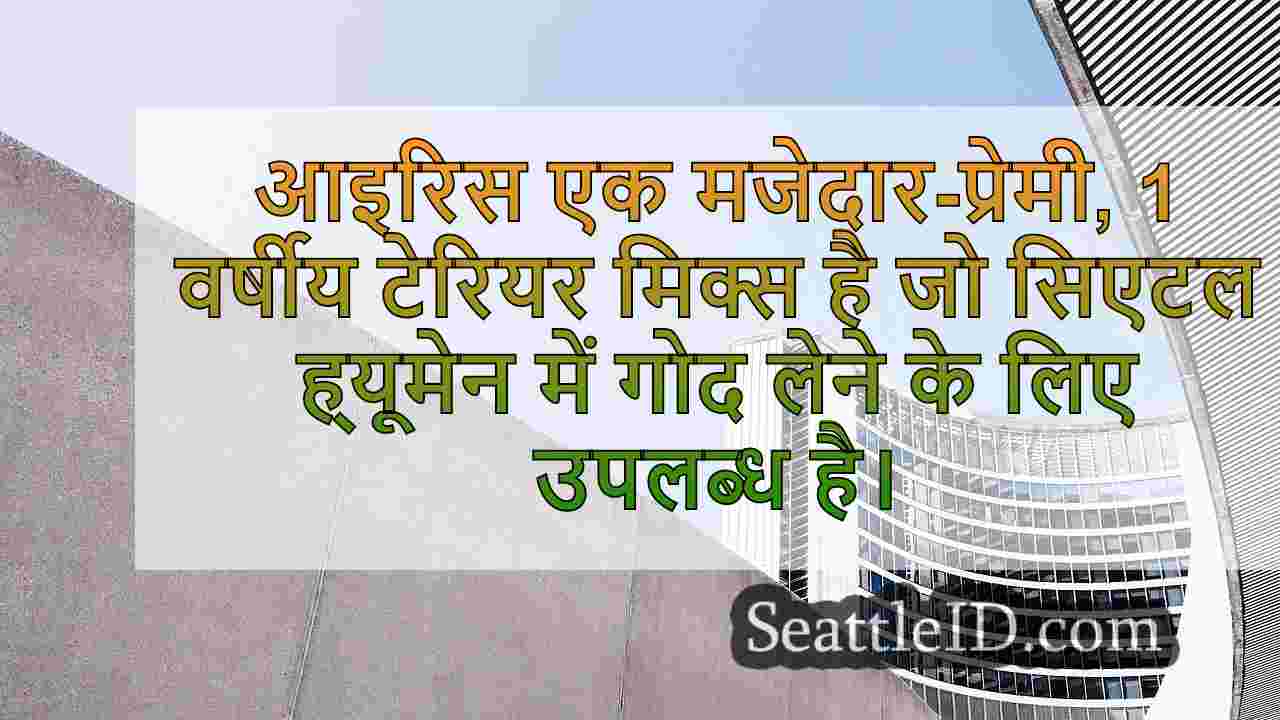 सिएटल समाचार SeattleID
