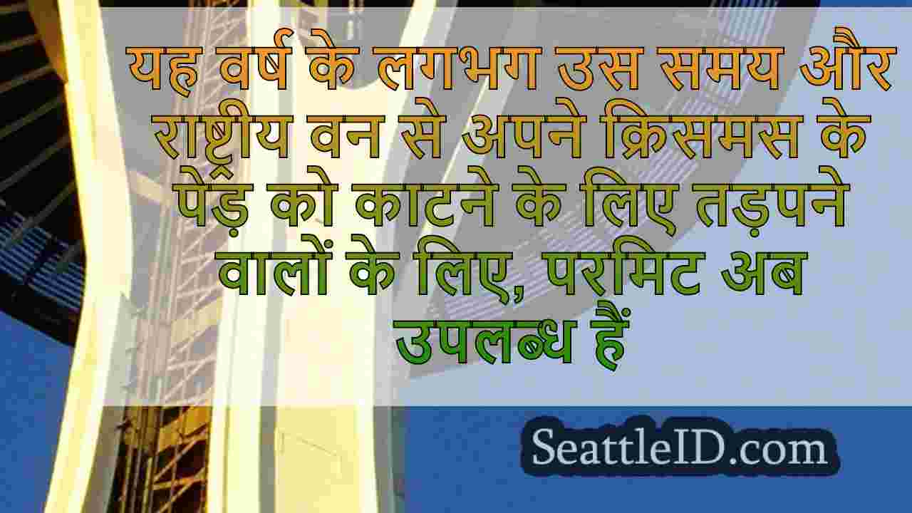 सिएटल समाचार SeattleID