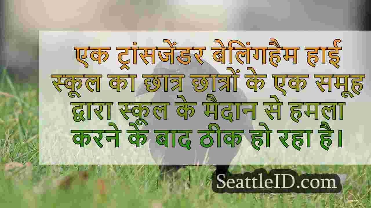 सिएटल समाचार SeattleID
