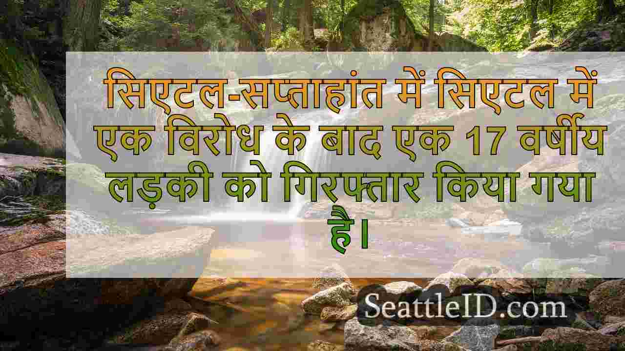 सिएटल समाचार SeattleID