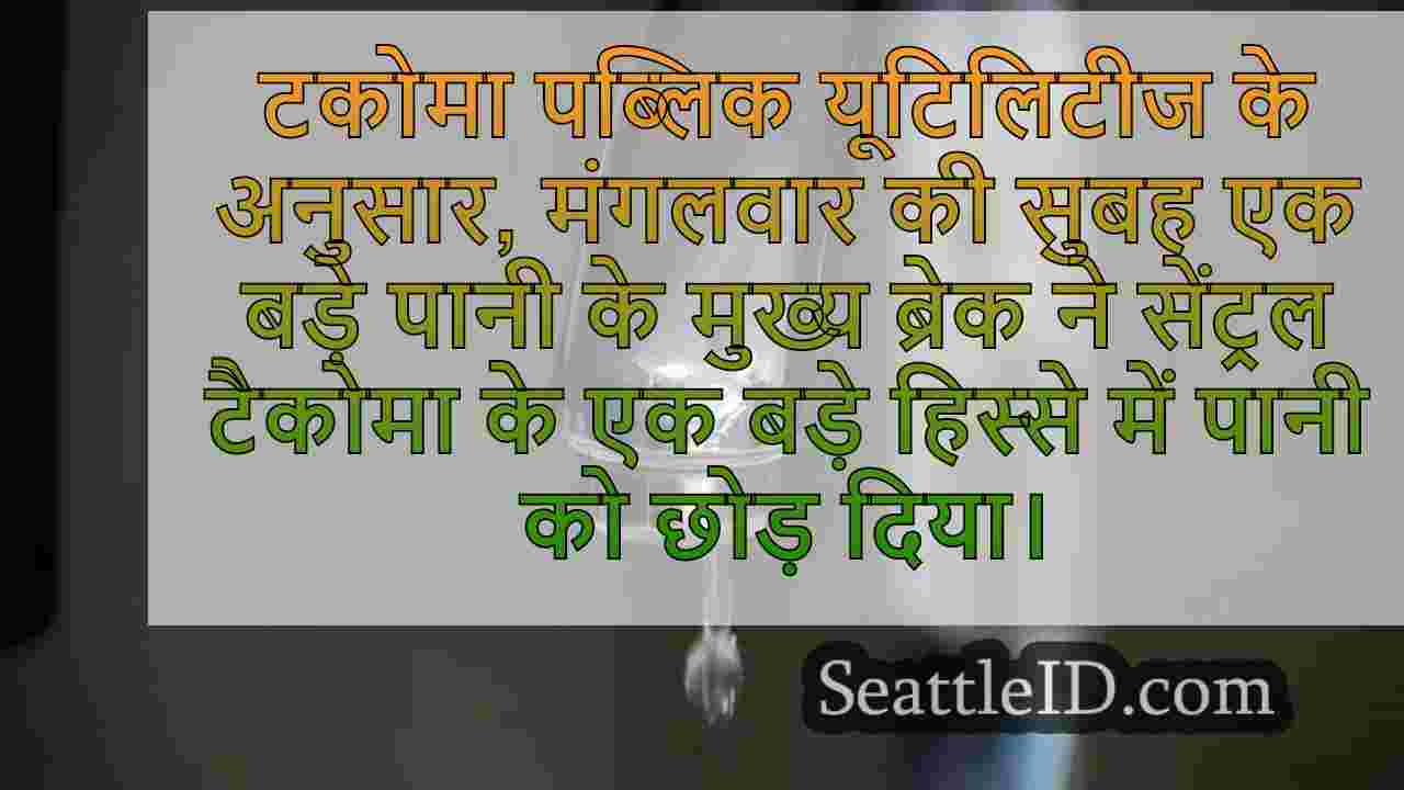 सिएटल समाचार SeattleID