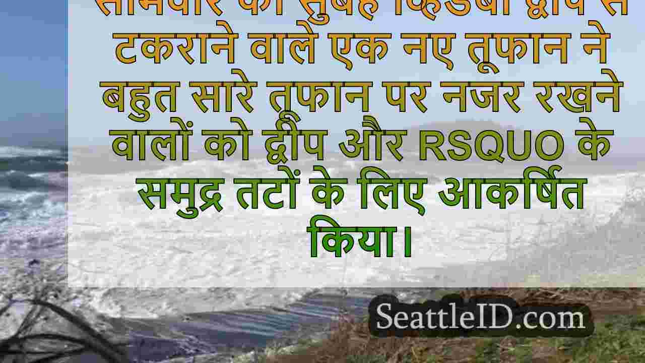 सिएटल समाचार SeattleID