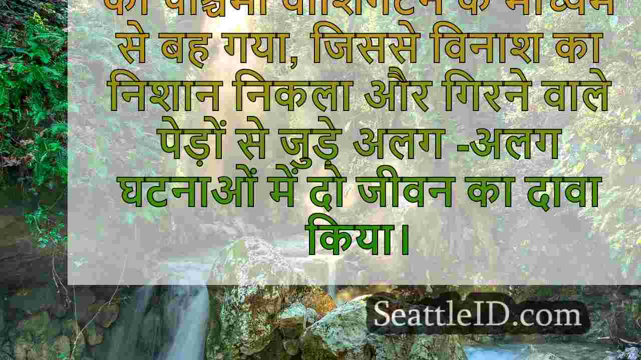 सिएटल समाचार SeattleID