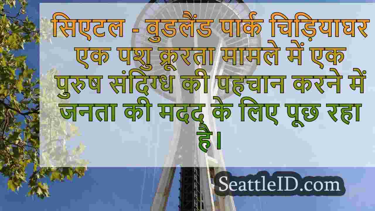 सिएटल समाचार SeattleID
