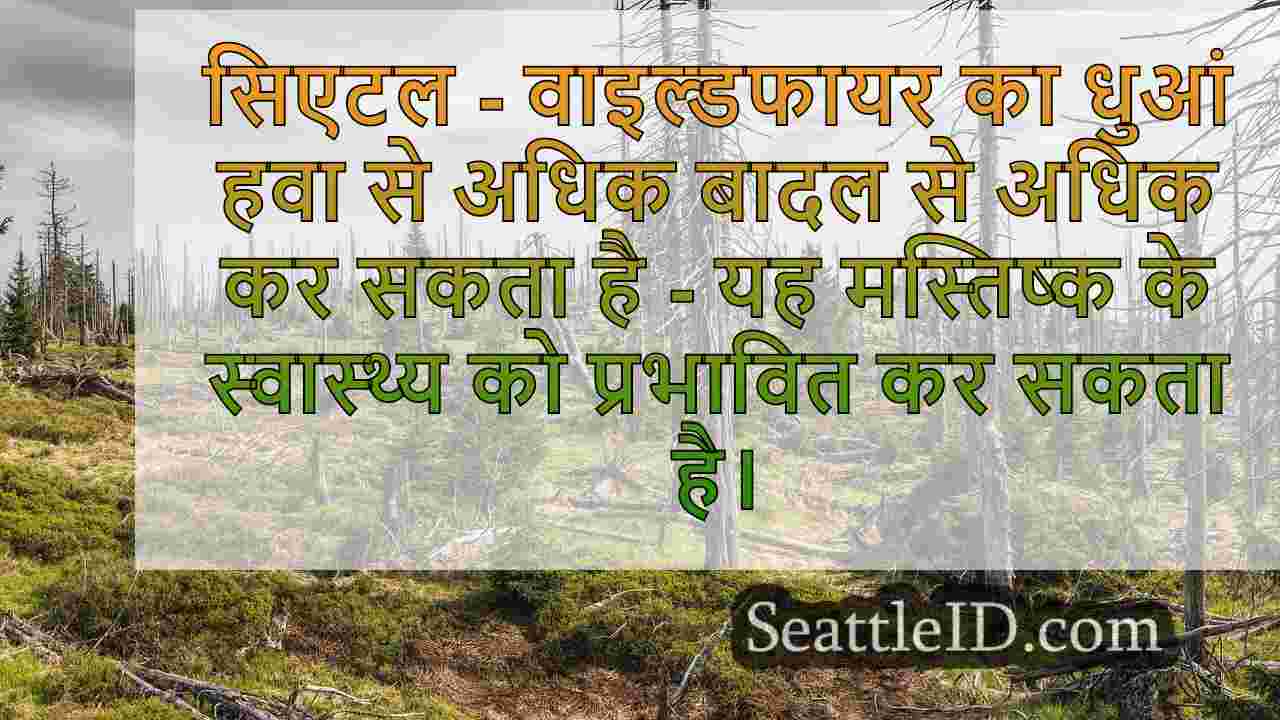 सिएटल समाचार SeattleID
