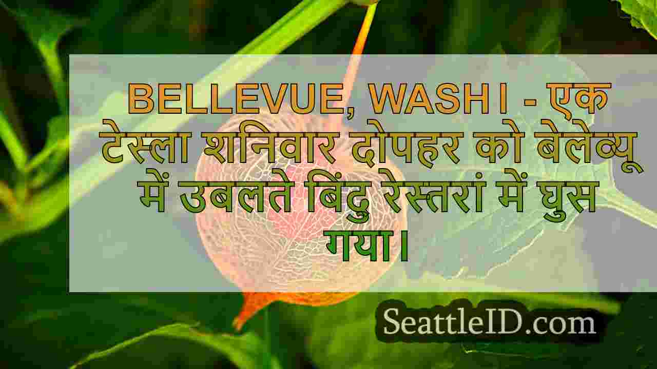 सिएटल समाचार SeattleID