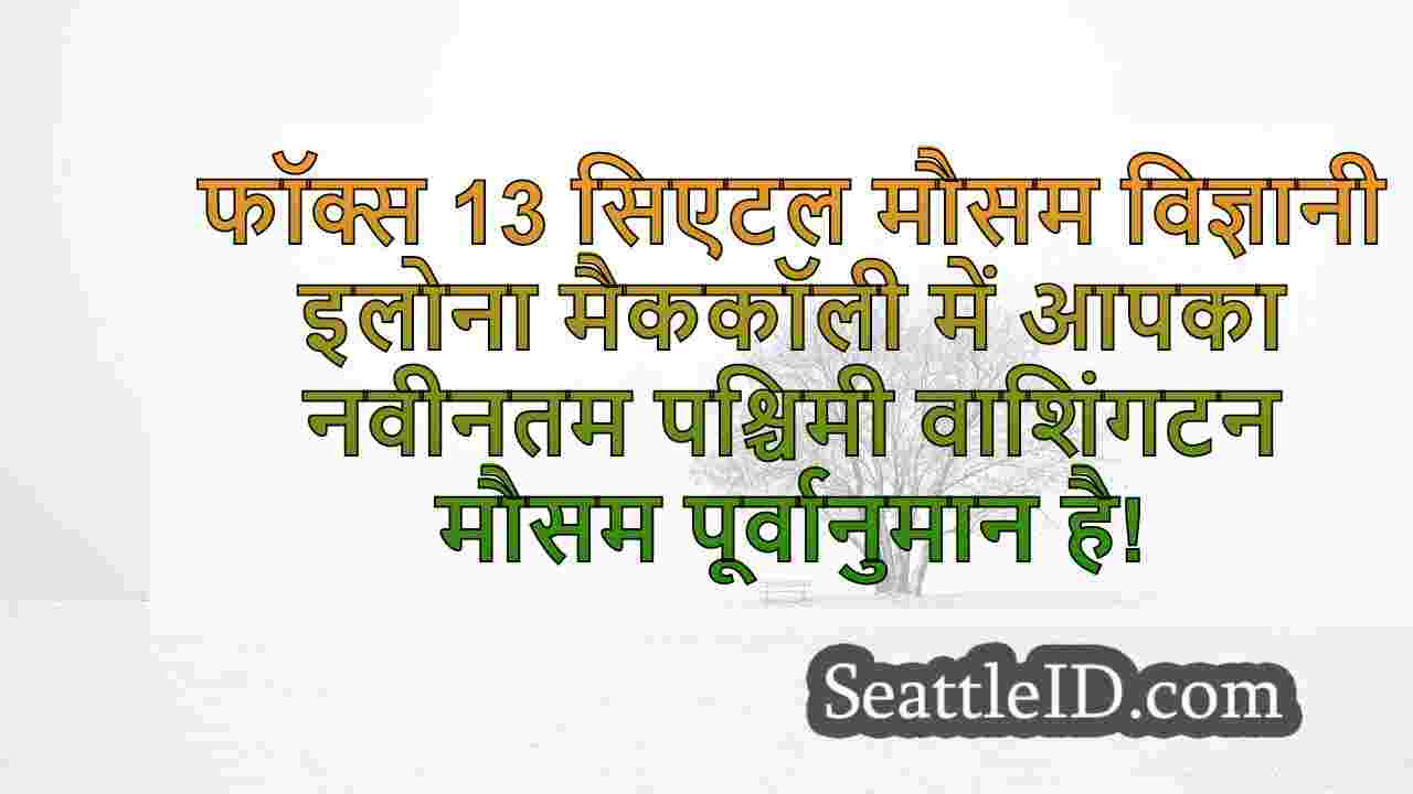 सिएटल समाचार SeattleID