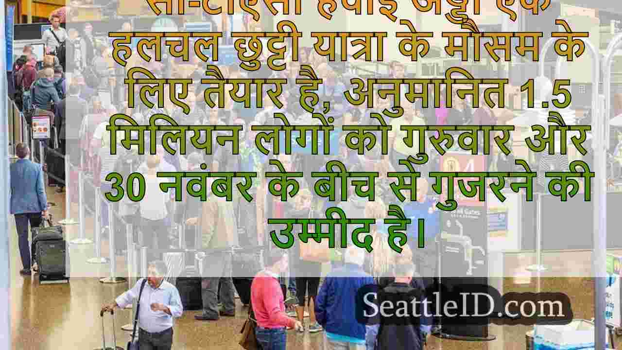 सी-टीएसी हवाई अड्डा व्यस्त छुट्टी