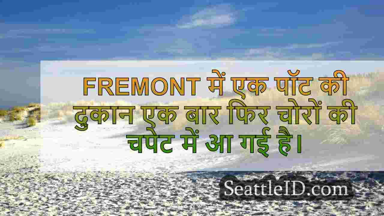 सिएटल समाचार SeattleID