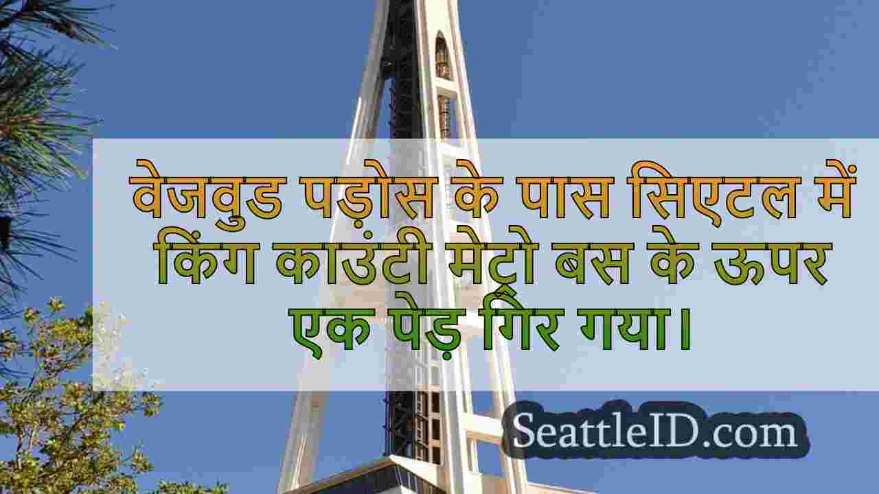 सिएटल समाचार SeattleID