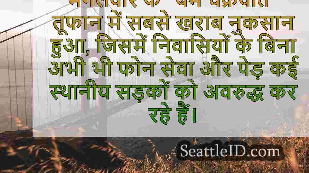 सिएटल समाचार SeattleID