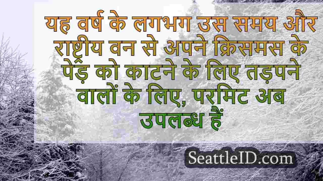 क्रिसमस ट्री परमिट अब ओकेनोगन-वेनचेचे