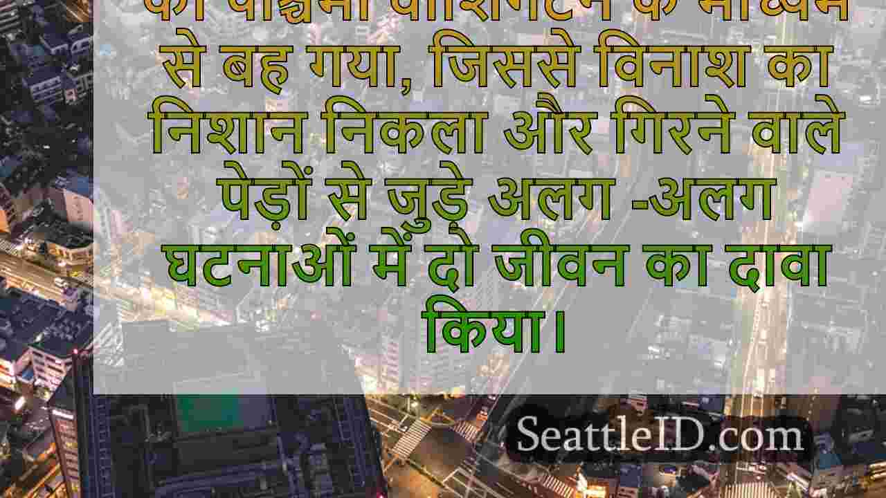 सिएटल समाचार SeattleID
