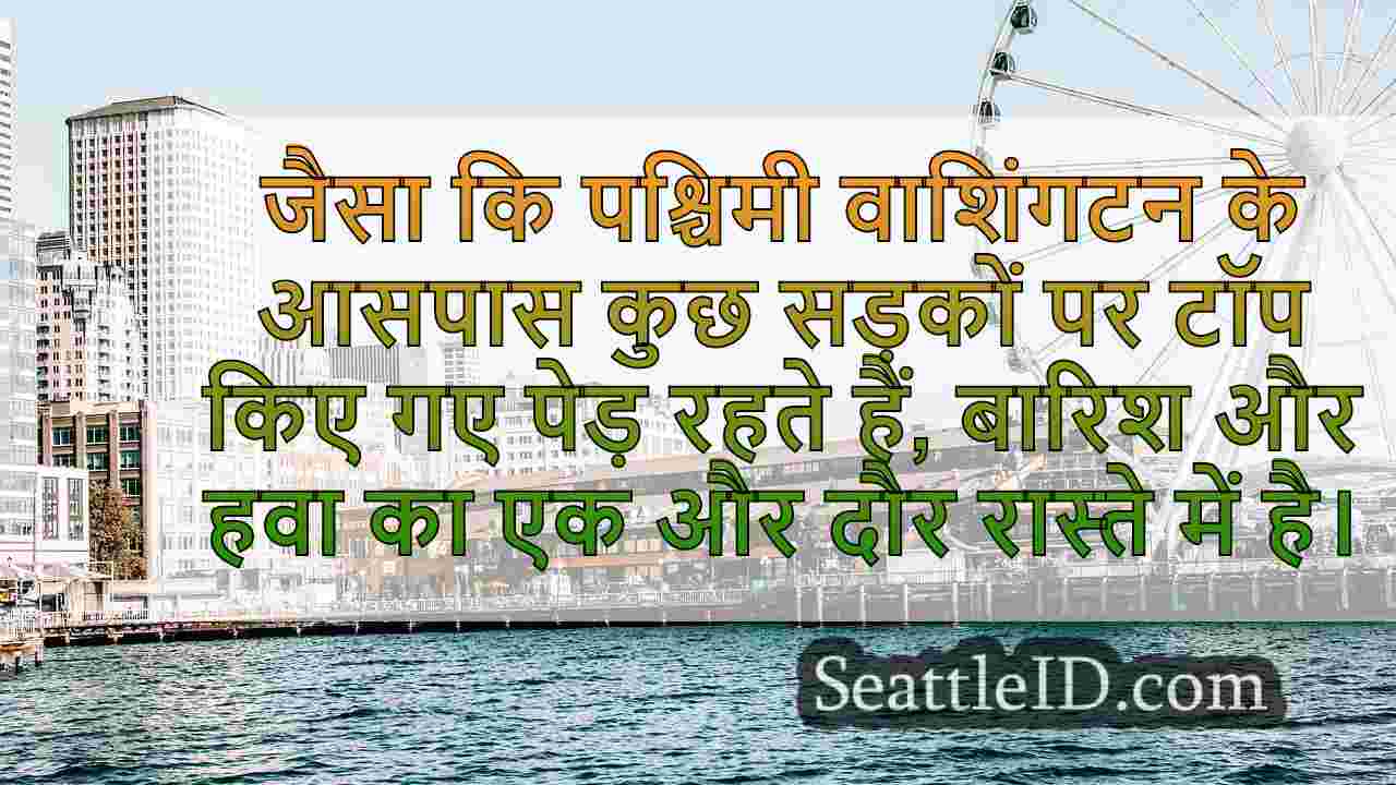 क्रू पश्चिमी वा में गिरे हुए पेड़ों को