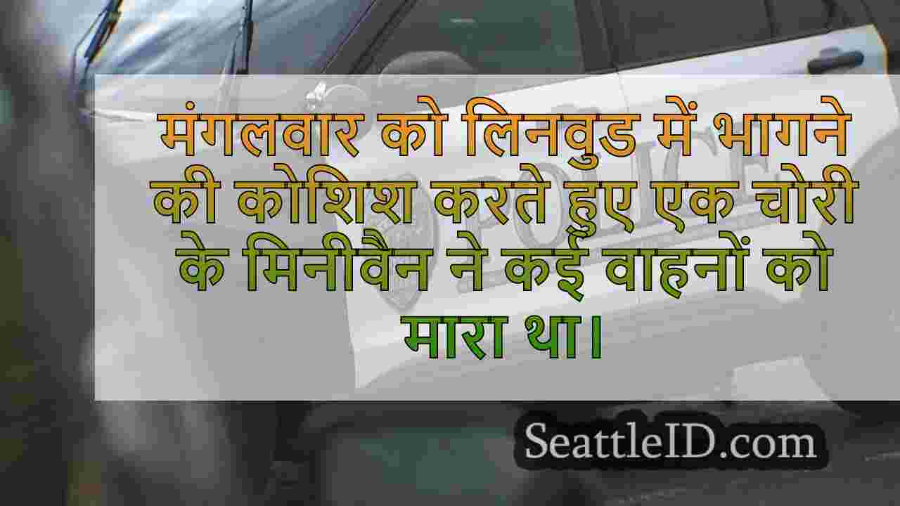 चोरी के बाद 2 मृत मिनीवैन ने लिनवुड,