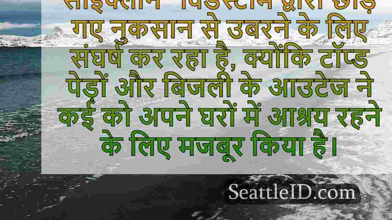 सिएटल समाचार SeattleID