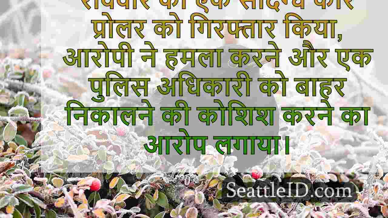 सिएटल समाचार SeattleID