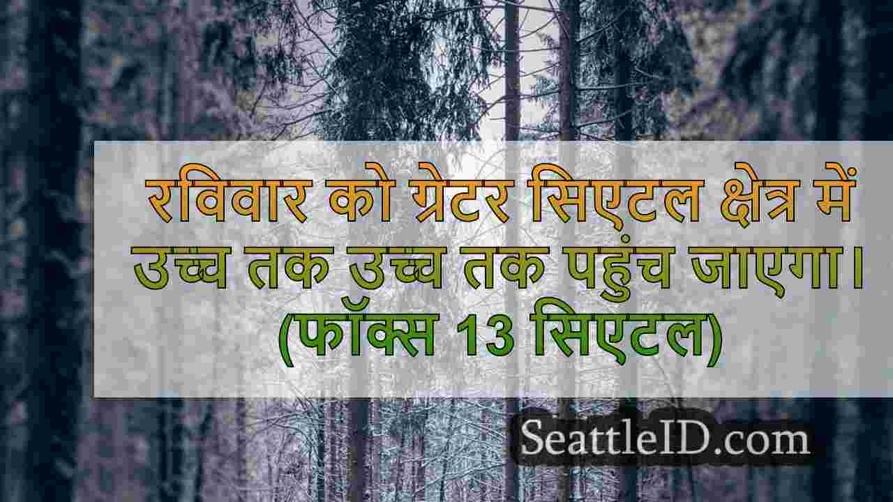 सिएटल समाचार SeattleID