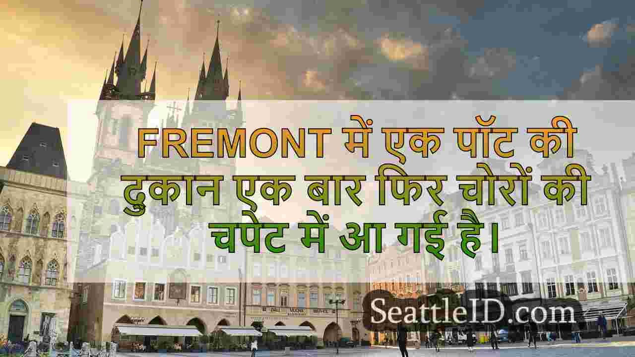 सिएटल समाचार SeattleID