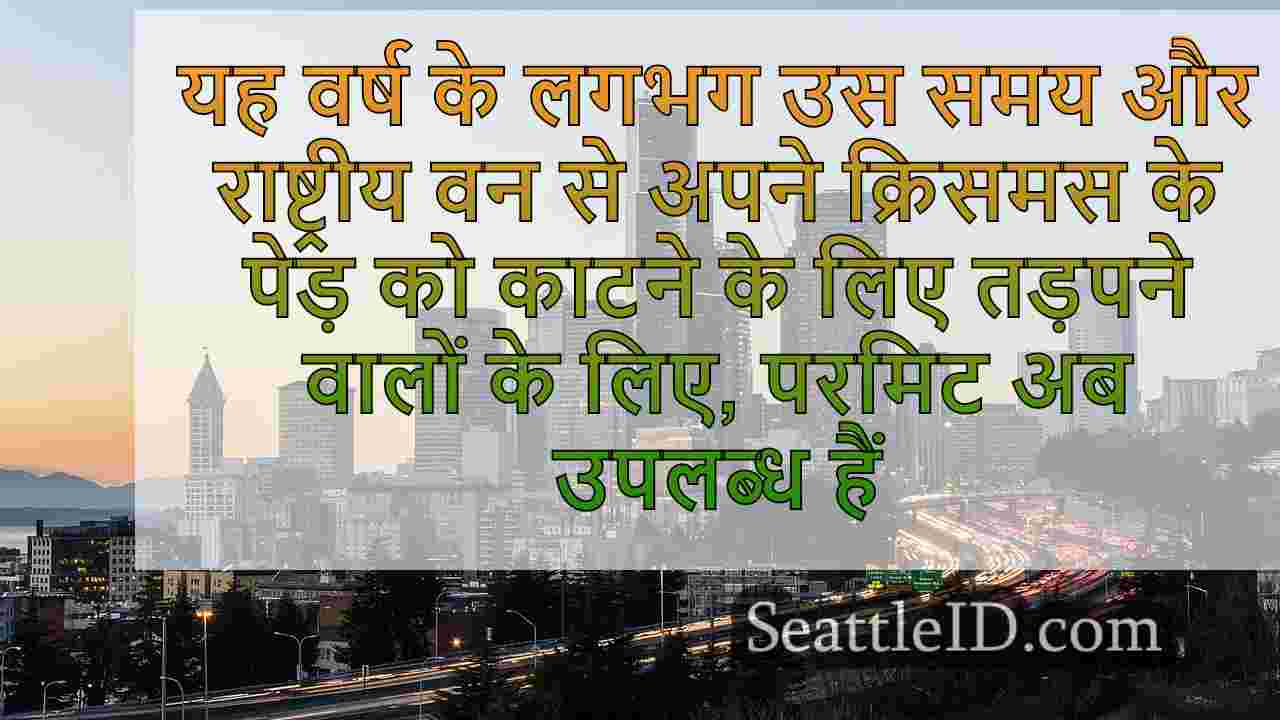 सिएटल समाचार SeattleID