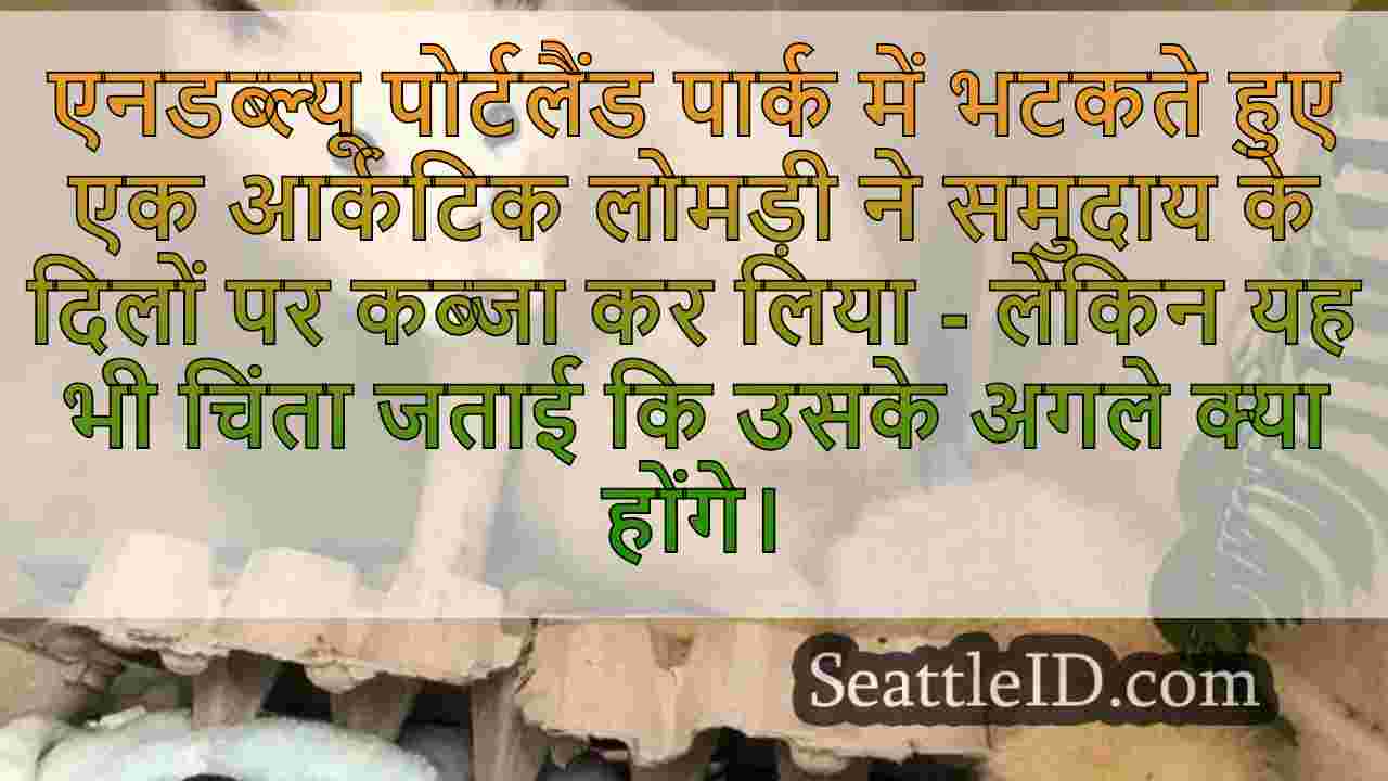 सिएटल समाचार SeattleID