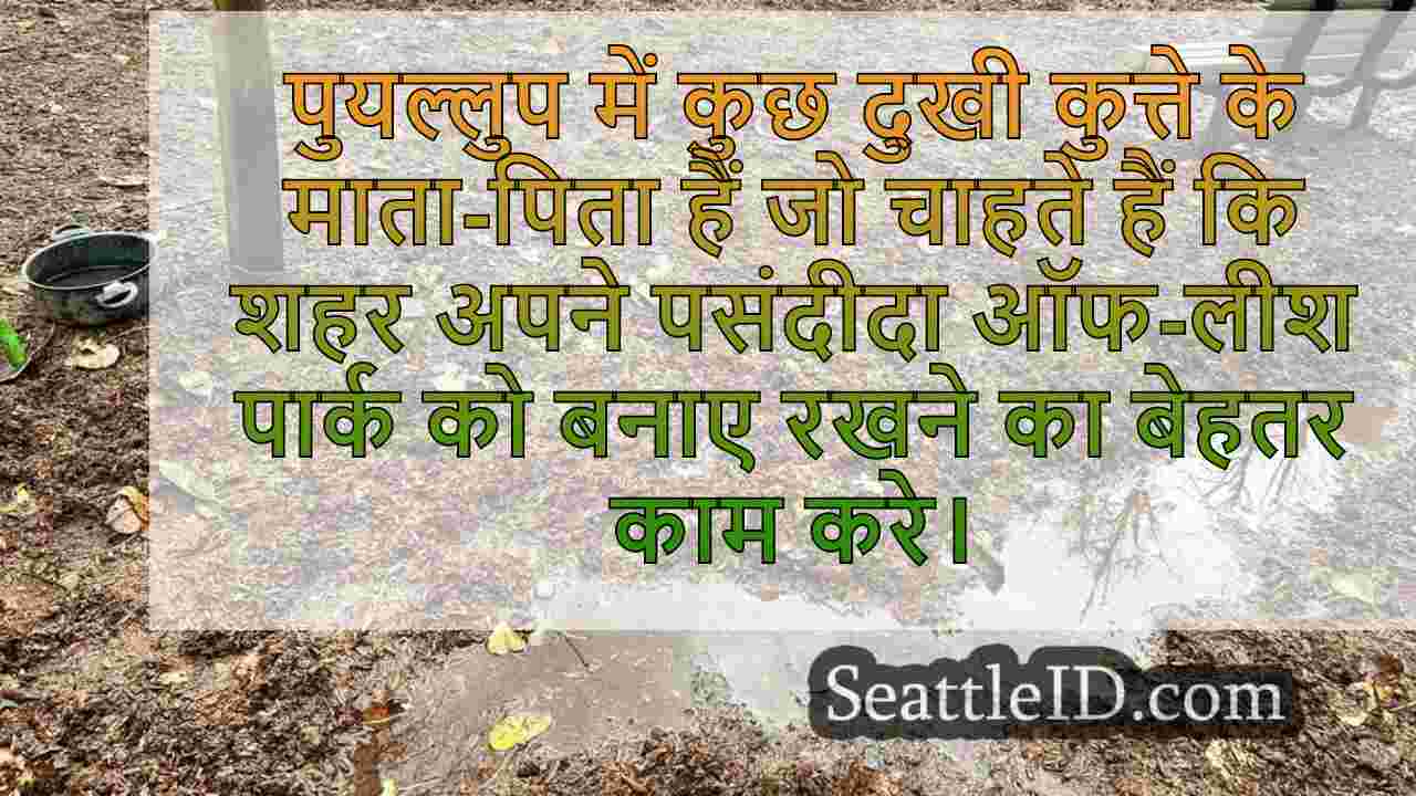Puyallup कुत्ते के माता -पिता SOGGY