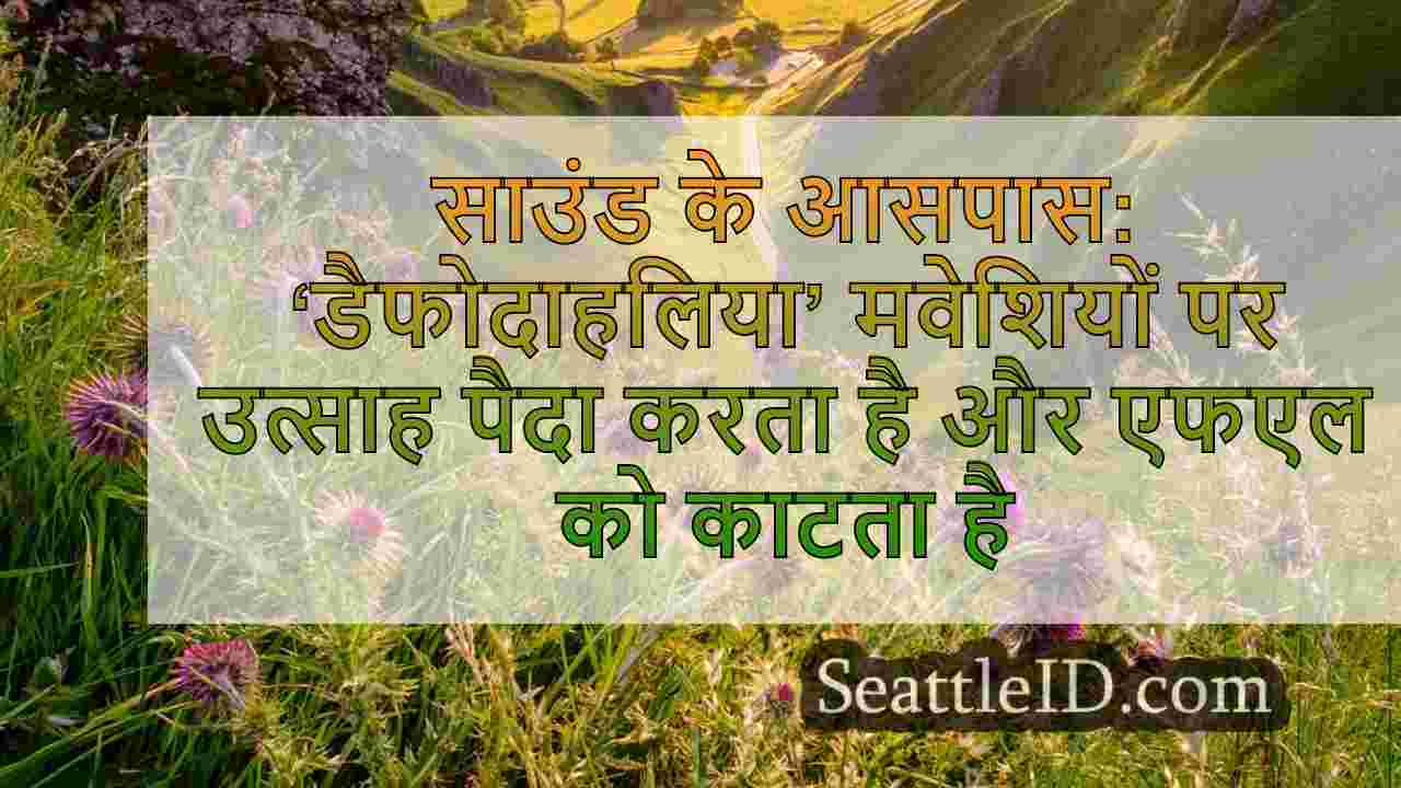 साउंड के आसपास: ‘डैफोदाहलिया’ मवेशियों