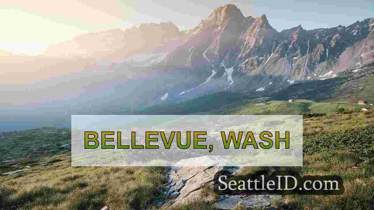 सिएटल समाचार SeattleID
