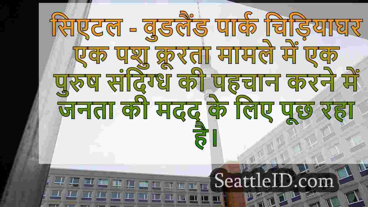 सिएटल समाचार SeattleID