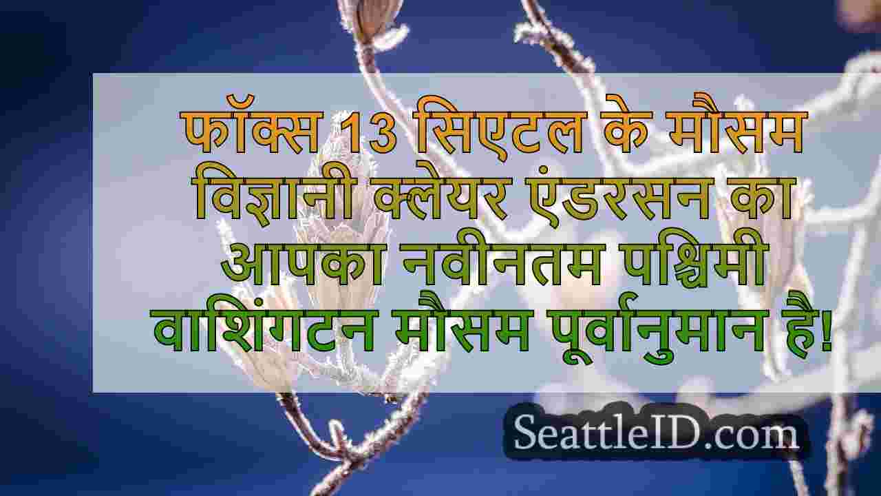 सिएटल समाचार SeattleID