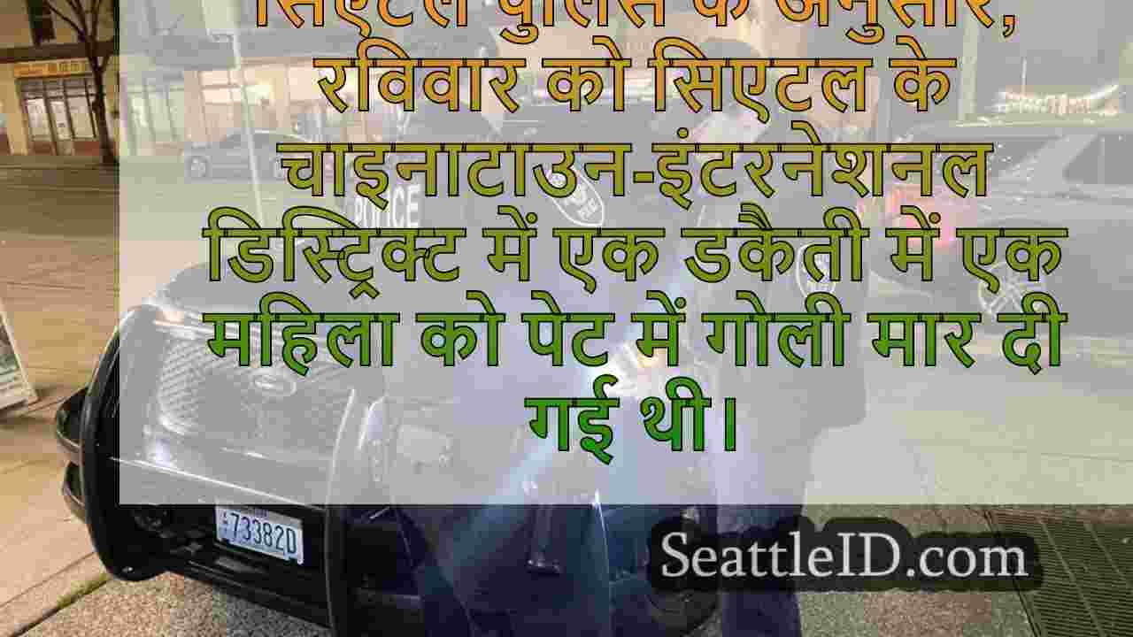चाइनाटाउन-इंटरनेशनल डिस्ट्रिक्ट डकैती