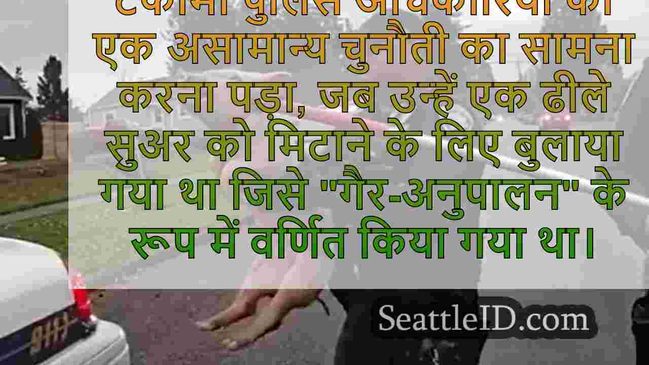 टकोमा पुलिस पड़ोस के माध्यम से पीछा