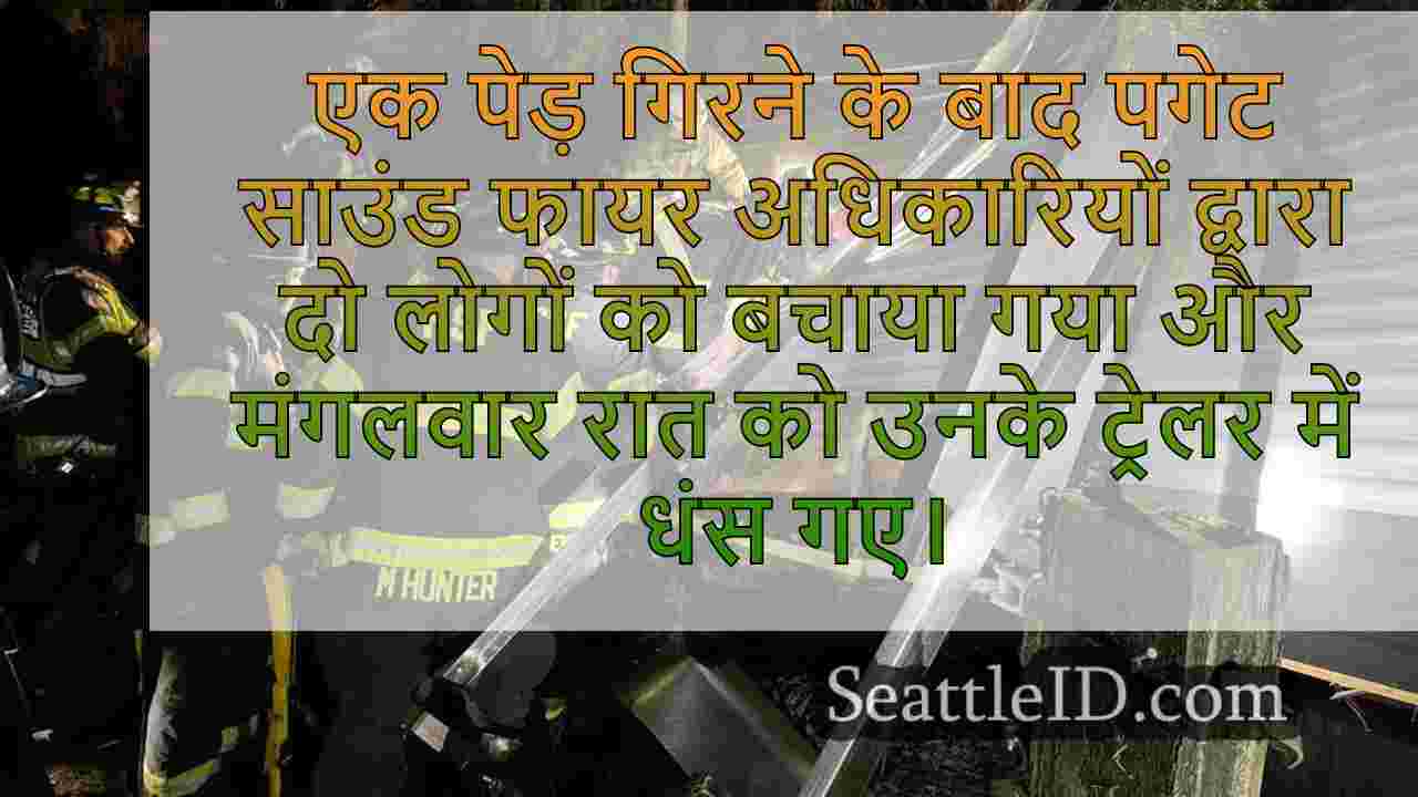 मेपल वैली में ट्रेलर पर पेड़ के
