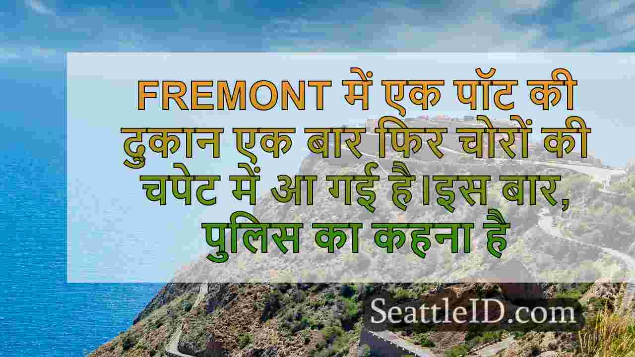 सिएटल समाचार SeattleID