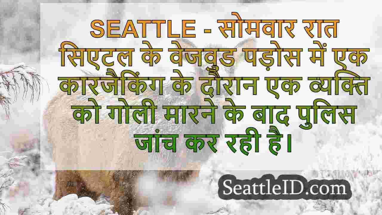 सिएटल समाचार SeattleID