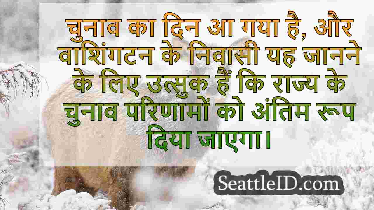 सिएटल समाचार SeattleID