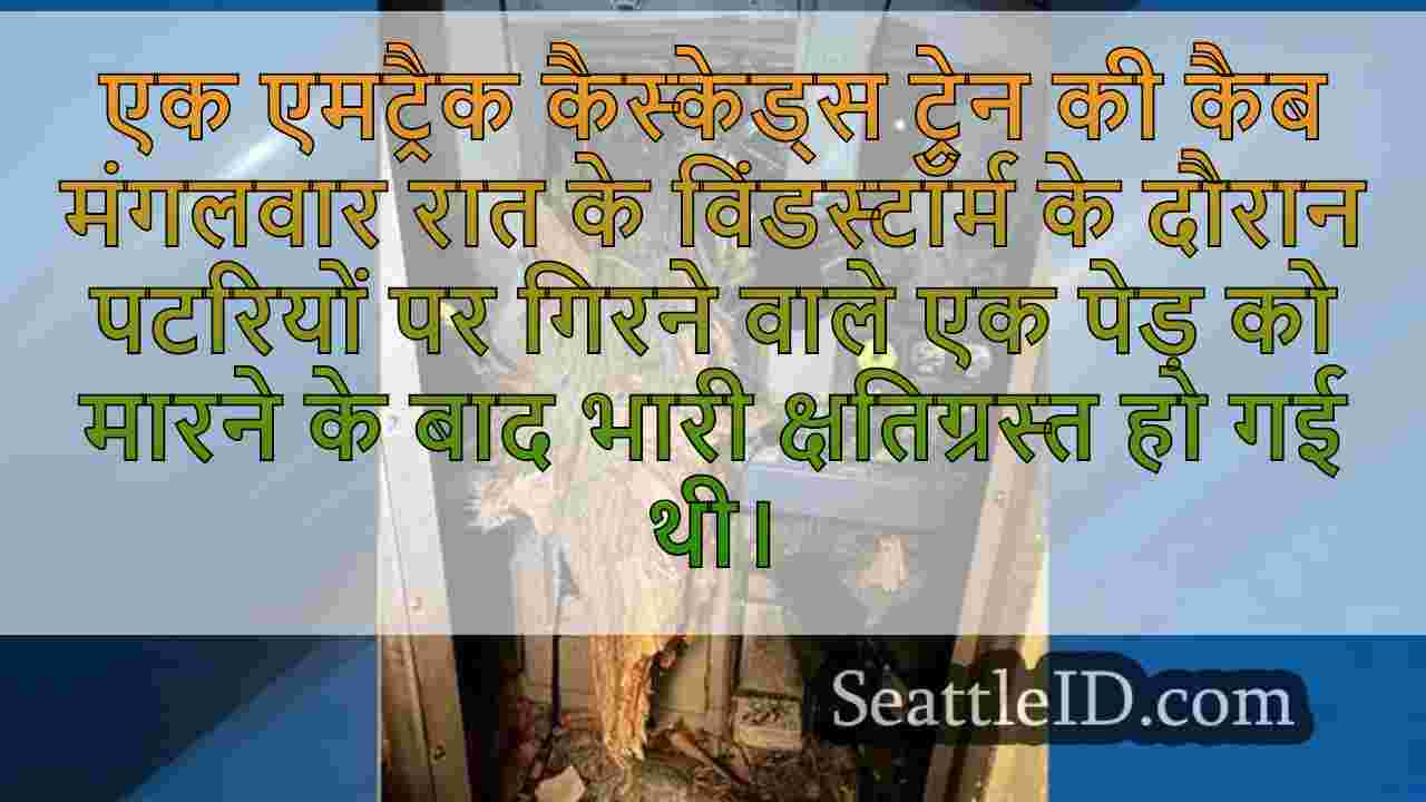 सिएटल समाचार SeattleID