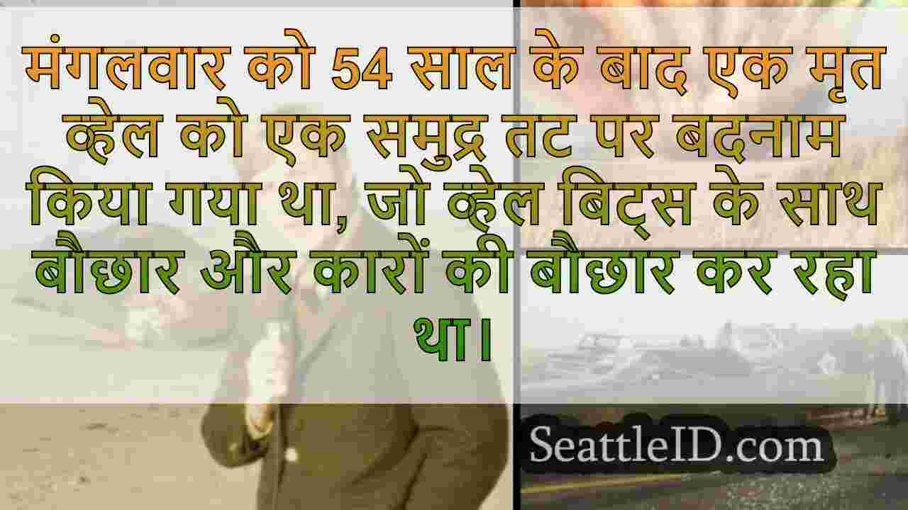 हैप्पी एनिवर्सरी: 54 साल बाद, ओरेगन अभी
