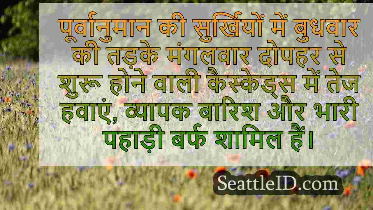 सिएटल समाचार SeattleID
