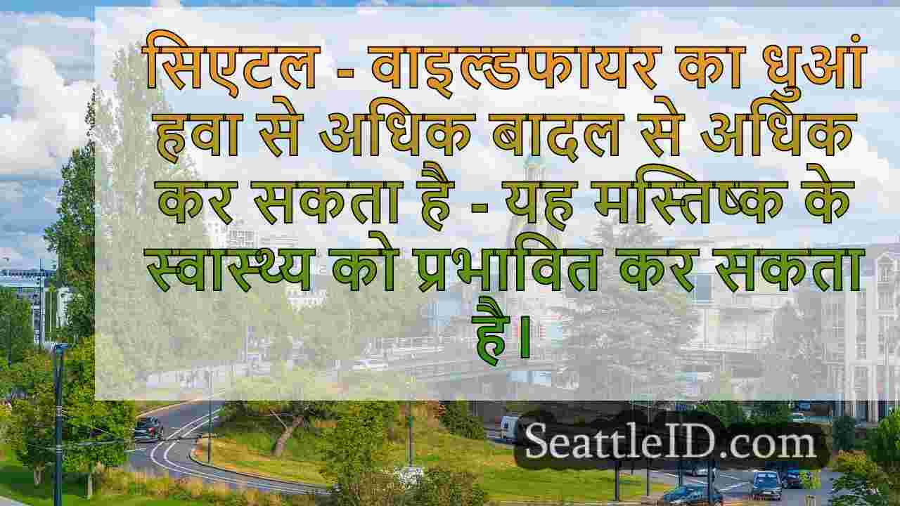 सिएटल समाचार SeattleID