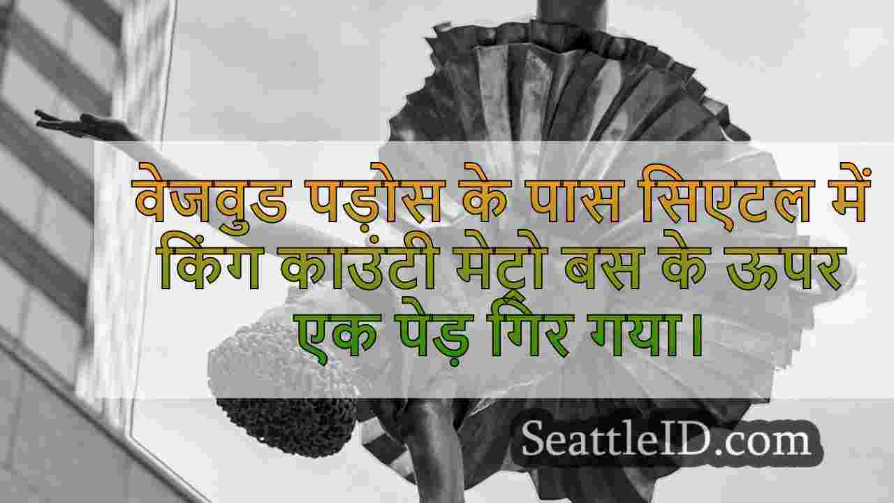 सिएटल समाचार SeattleID