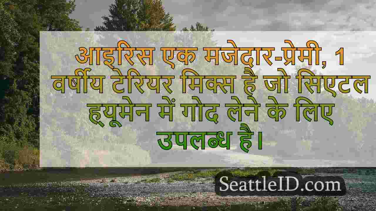 सिएटल समाचार SeattleID