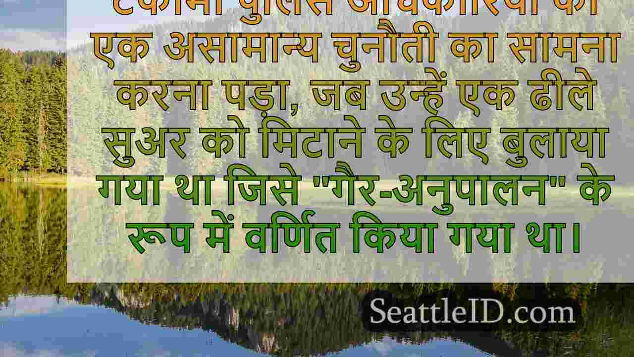 सिएटल समाचार SeattleID