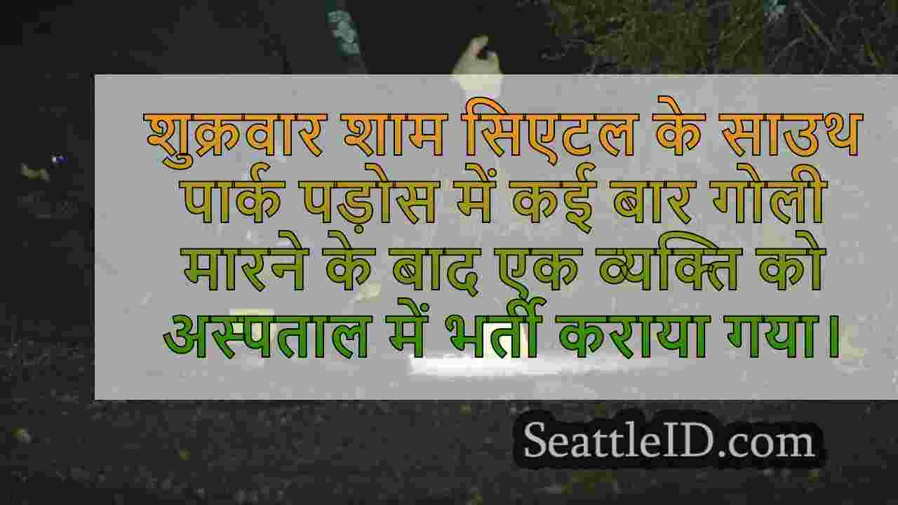 सिएटल के साउथ पार्क पड़ोस में कई बार