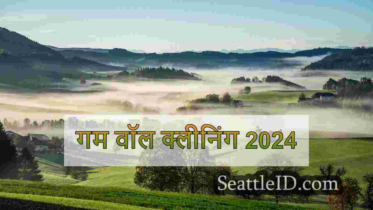 सिएटल की गम वॉल 2019 के बाद से पहली