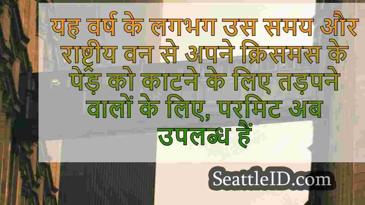 सिएटल समाचार SeattleID