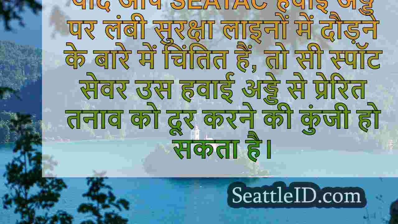 सुरक्षा, पार्किंग, भीड़ को नेविगेट करने